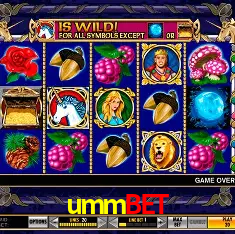 ummbet Salvador - Bonus Stats